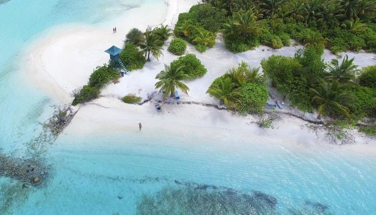 A Beach With Palm Trees And Blue Water