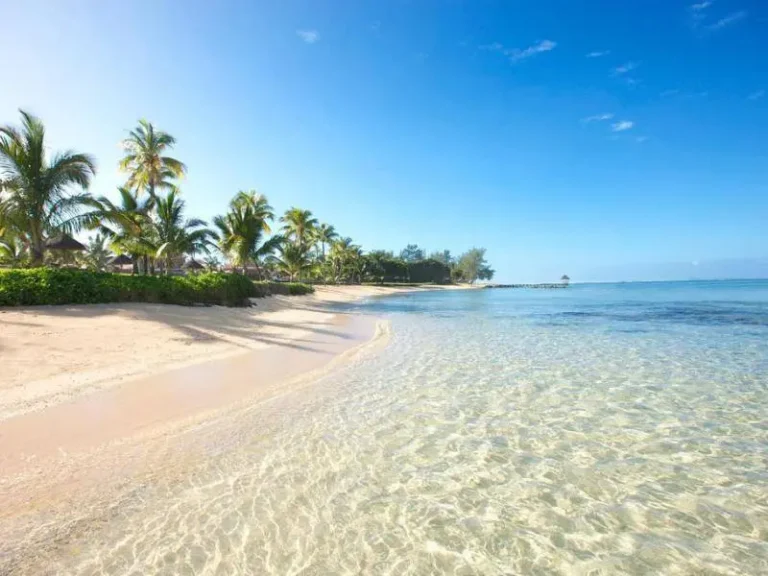 A Beach With Palm Trees And Clear Water