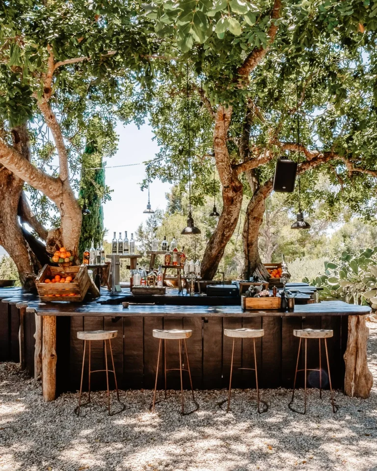 A Bar Under A Tree