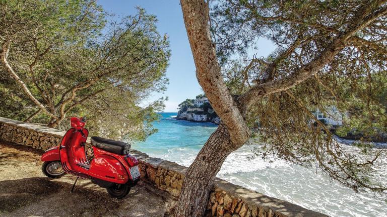 A Red Scooter Parked Next To A Tree By A Body Of Water